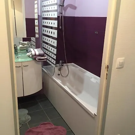 Appartement les magnolias à Colmar Extérieur photo