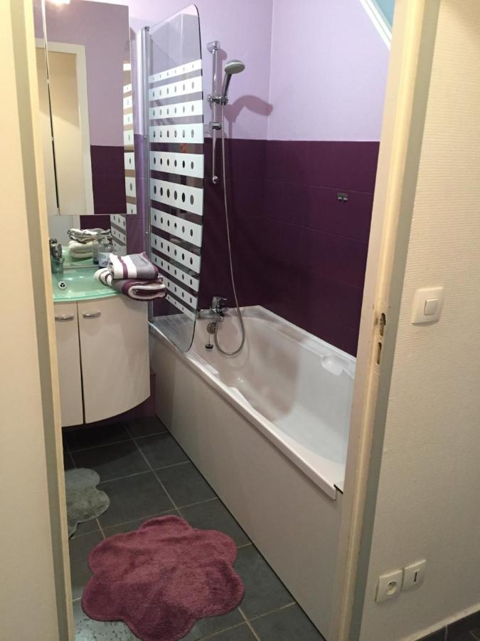 Les Magnolias Apartment Colmar